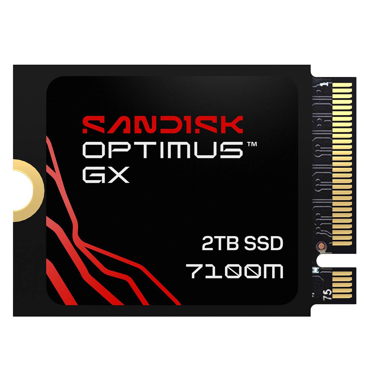 SANDISK Optimus: Sandisk Unveils New Brand of SSDs to Replace WD Black and WD Blue 3 Optimus GX 7100M SSD