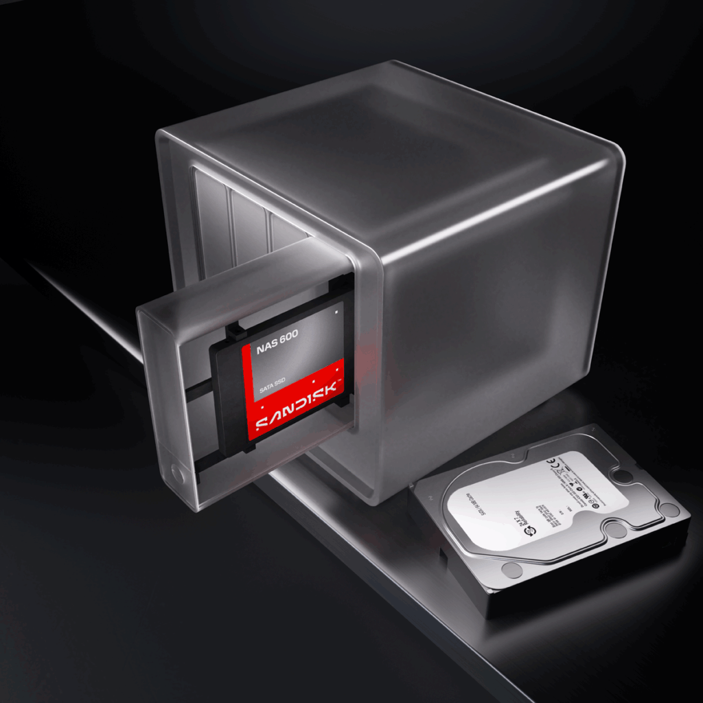 SANDISK NAS 600 SATA SSD