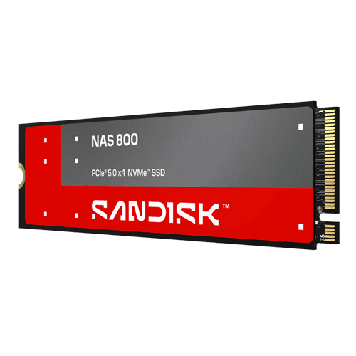 SANDISK NAS 800
