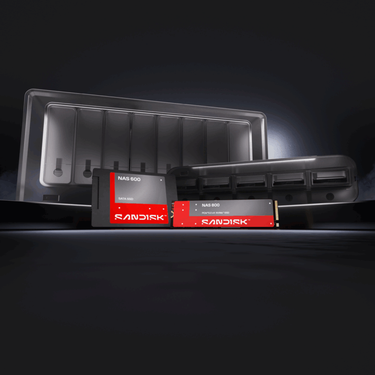 SANDISK NAS Portfolio