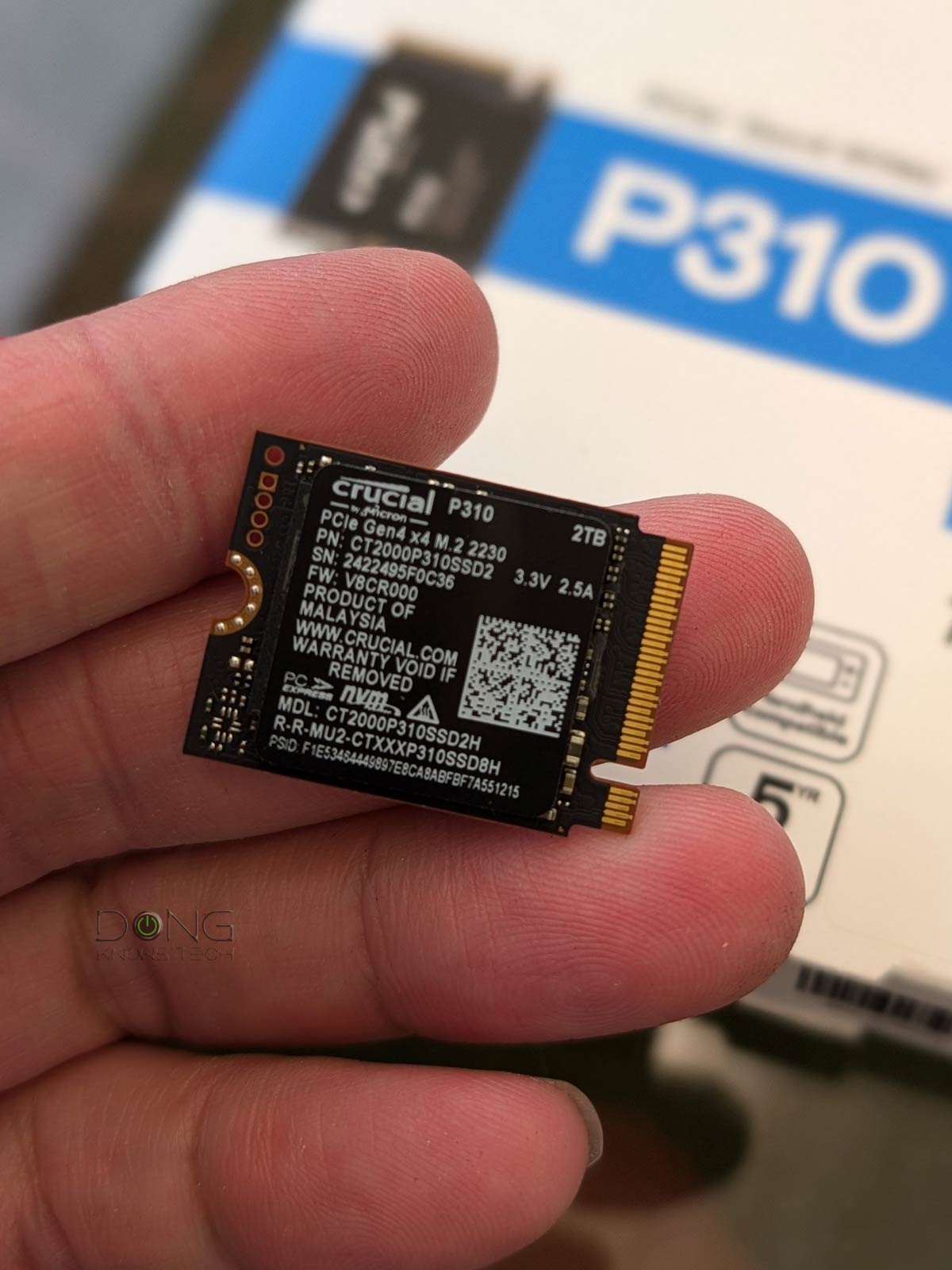 Crucial P310 SSD Review: Tiny, Cool & Fast | Dong Knows Tech